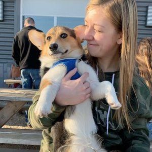 Meet your Posher, Samantha